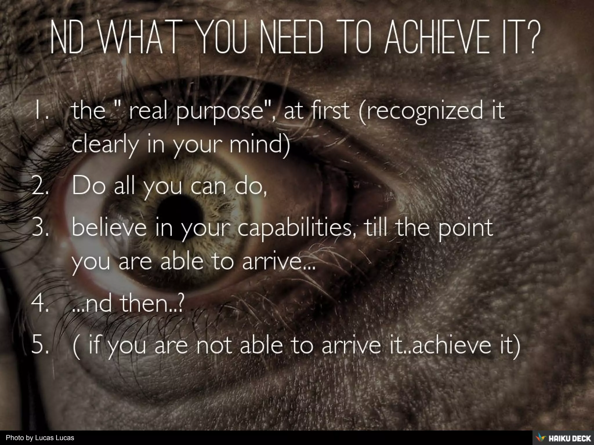 Photo by Lucas Lucas
 