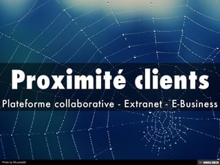 Vision Collaborative