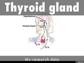 Thyroid gland  My research data 