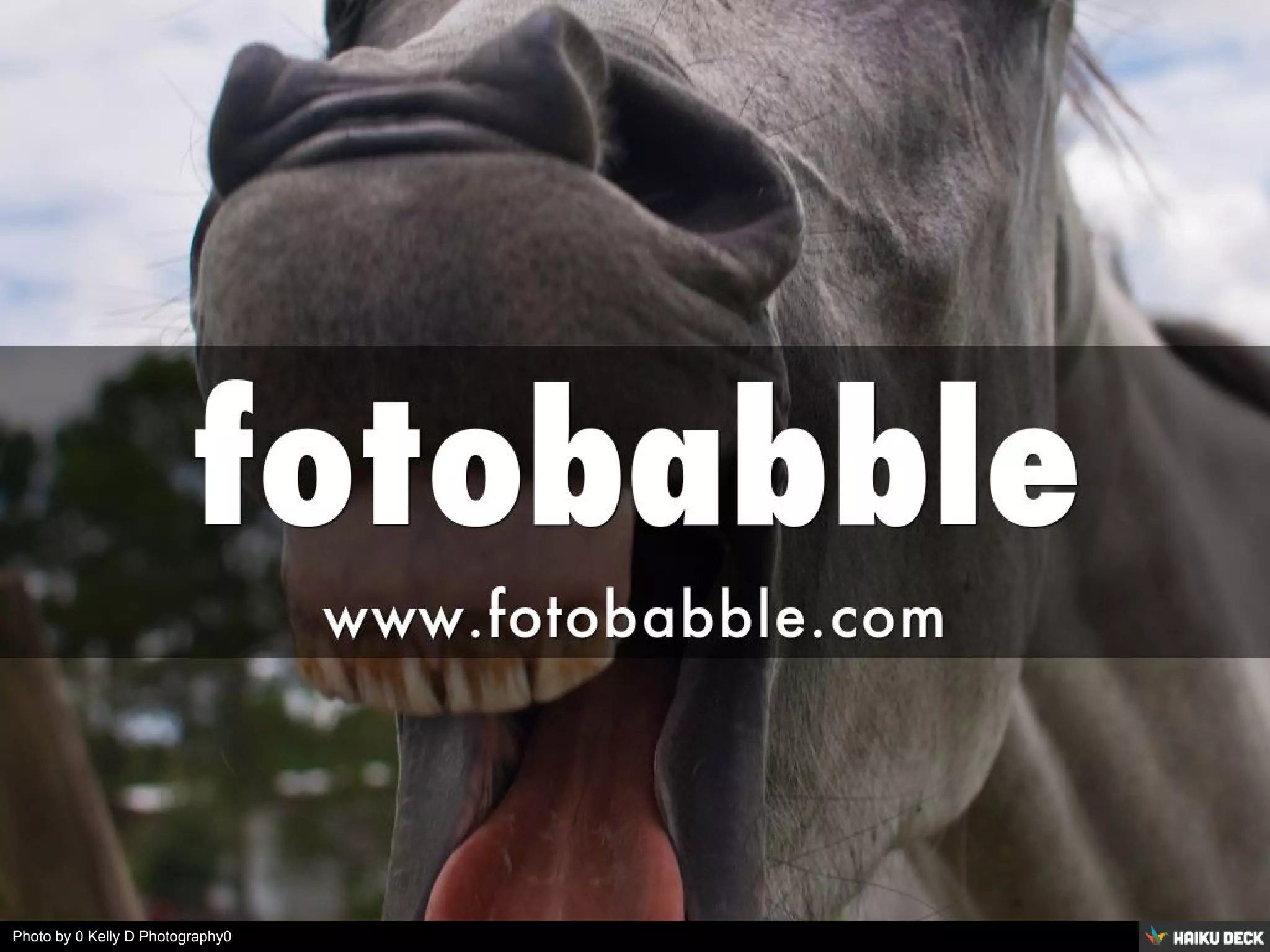 Photo by 0Kelly D Photography0
 