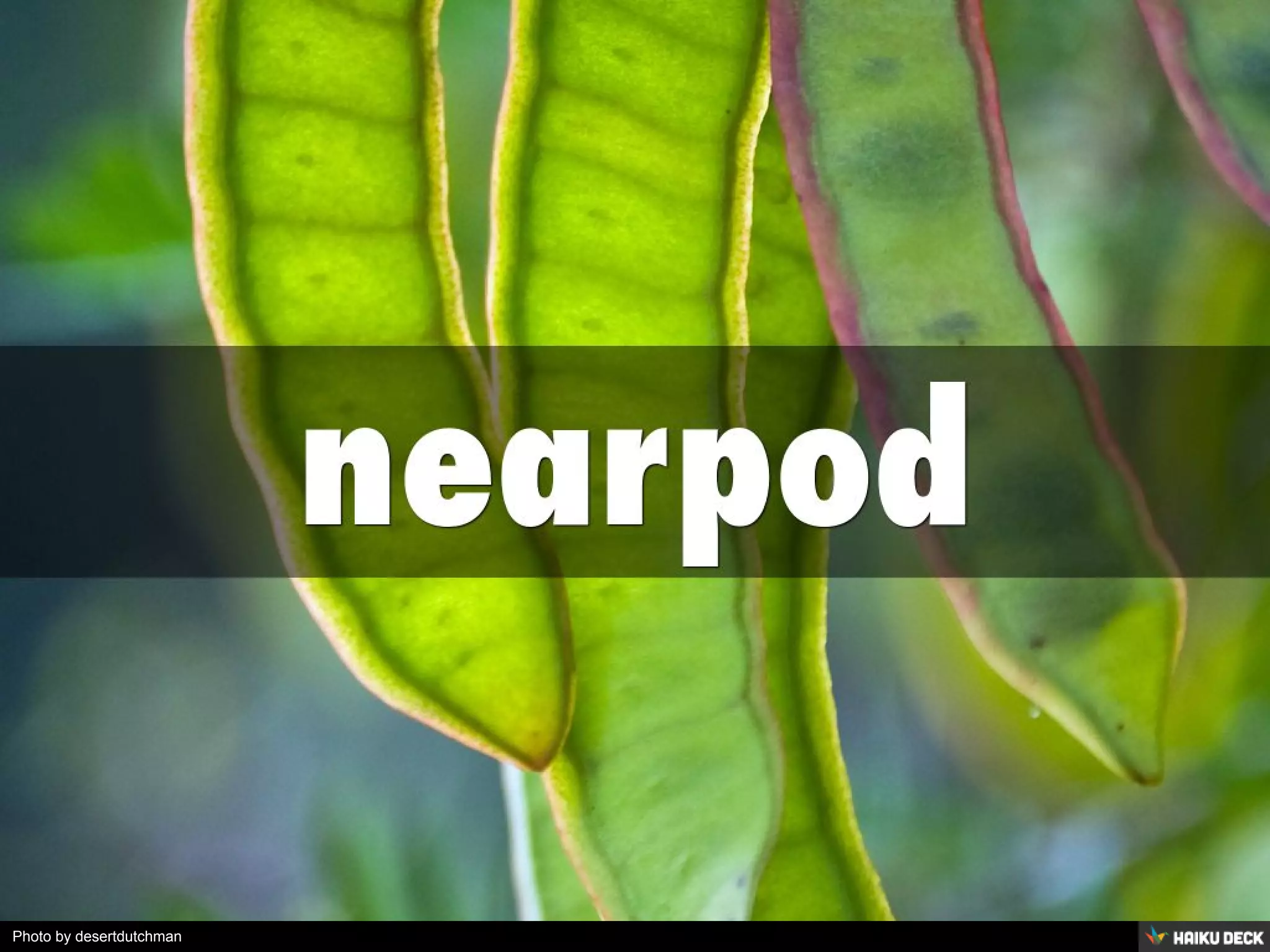 Photo by desertdutchman
 