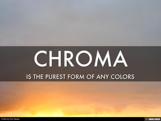 Photo by Orin Zebest
 