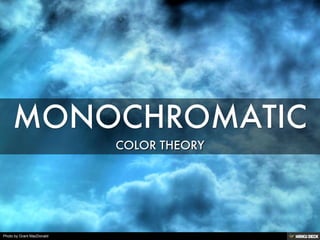 Photo by Grant MacDonald
 