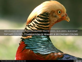 Photo by NotMicroButSoft (Fallen in Love with Ghizar, GB)
 