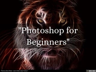 Photo by Steve Wilson - over 6 million views Thanks !!
 