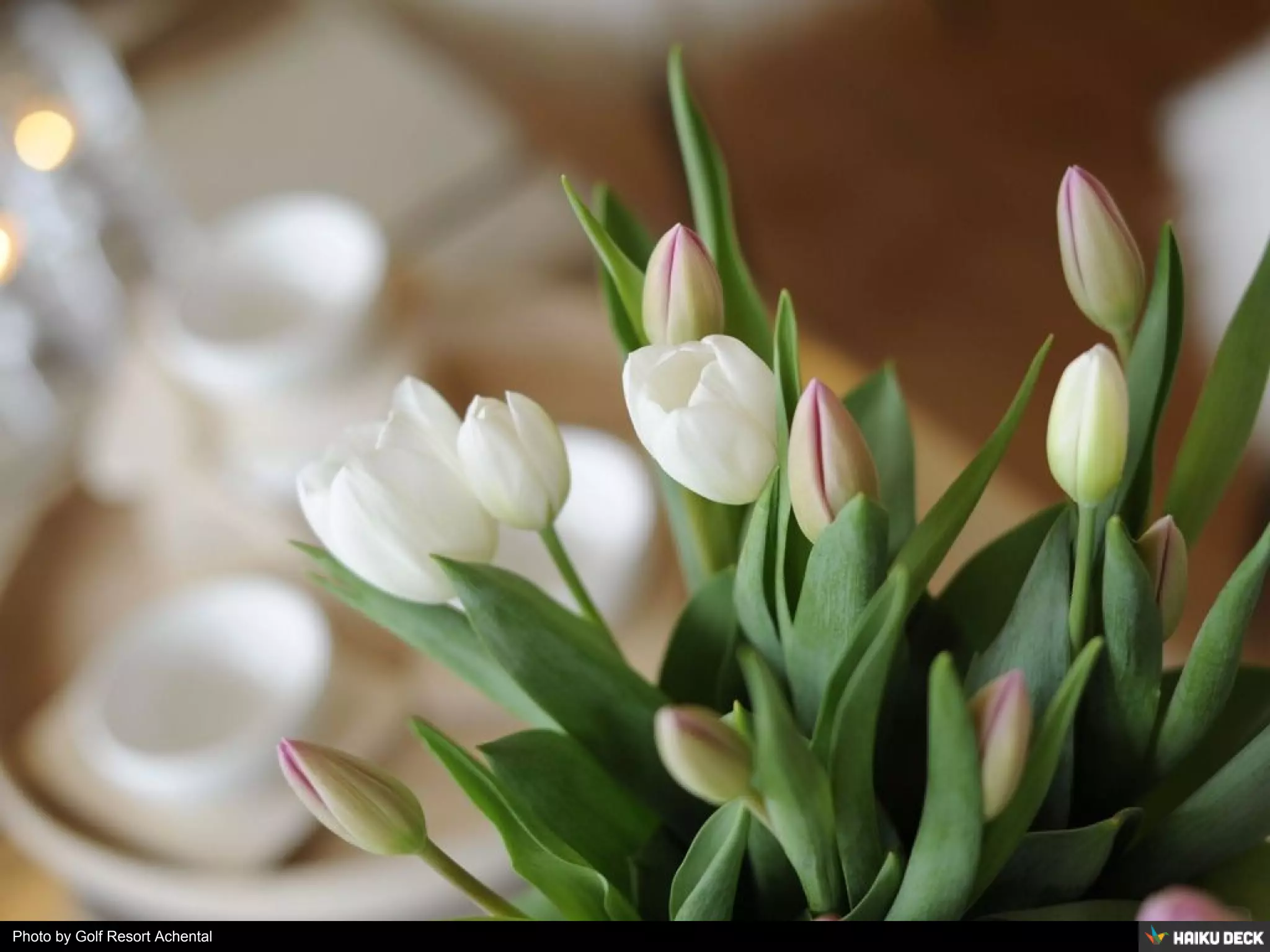 Photo by Golf Resort Achental