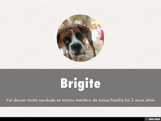 Brigite