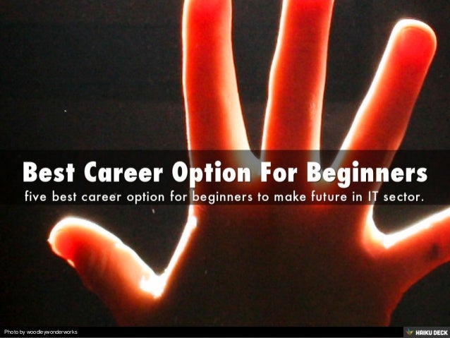 Best option of career