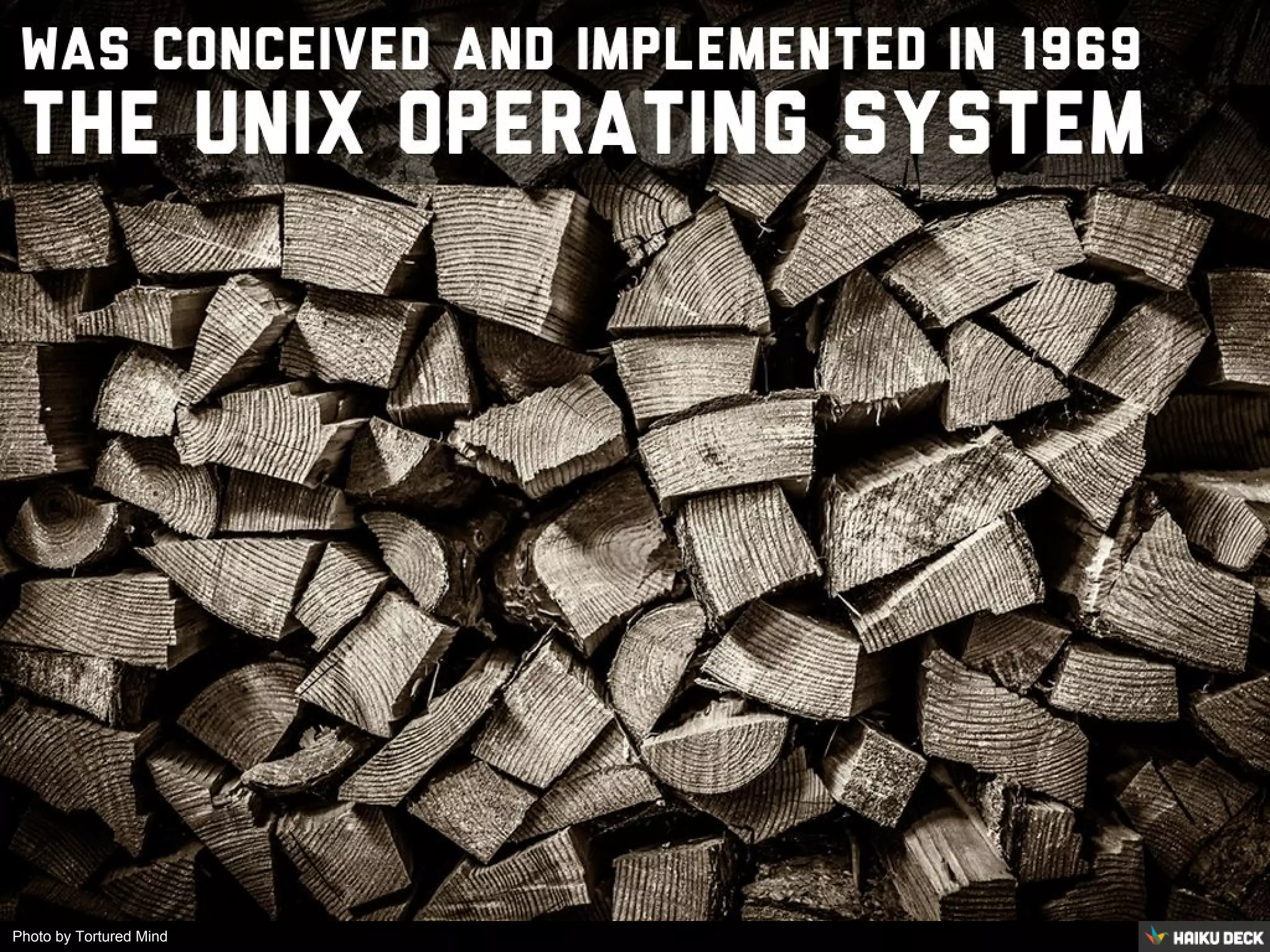 Photo by Tortured Mind
 