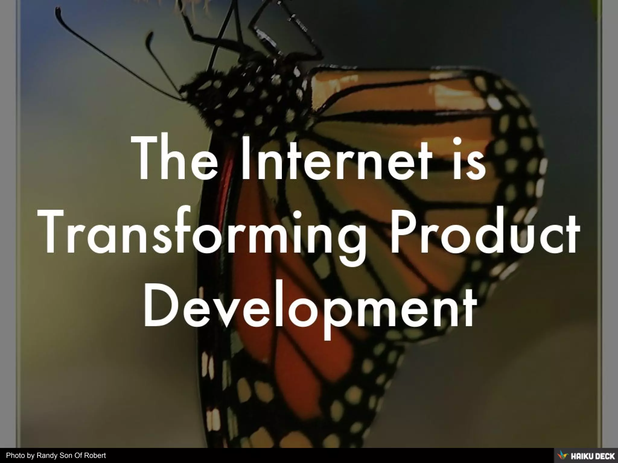 Photo by Randy Son Of Robert