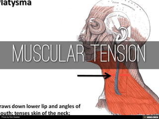 Photo by Rob Swatski
 