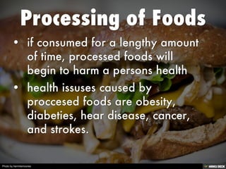 Photo by hermitsmoores
 