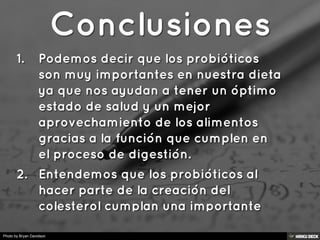 Photo by Bryan Davidson