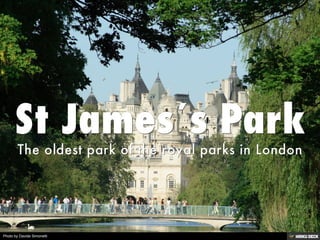 Photo by Davide Simonetti
 