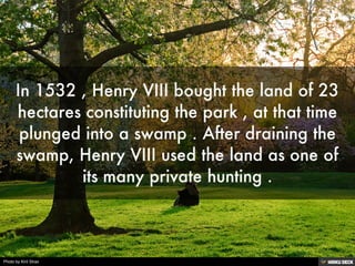 Photo by Kiril Strax
 