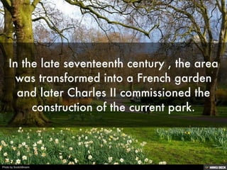 Photo by ScotchBroom
 