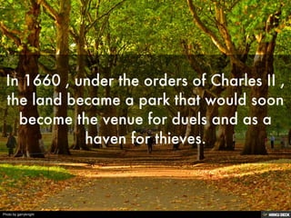 Photo by garryknight
 