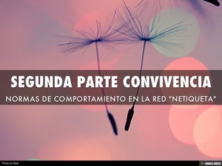 SEGUNDA PARTE CONVIVENCIA  NORMAS DE COMPORTAMIENTO EN LA RED &quot;NETIQUETA&quot; 