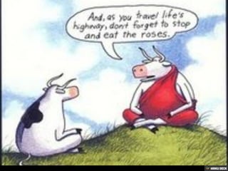 Gary Larson