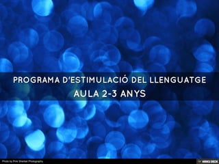 PROGRAMA D'ESTIMULACIÓ DEL LLENGUATGE  AULA 2-3 ANYS 