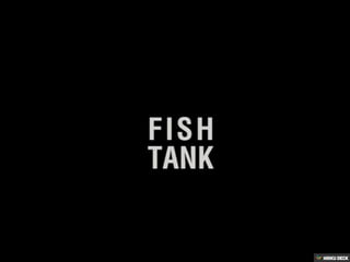 Fish Tank