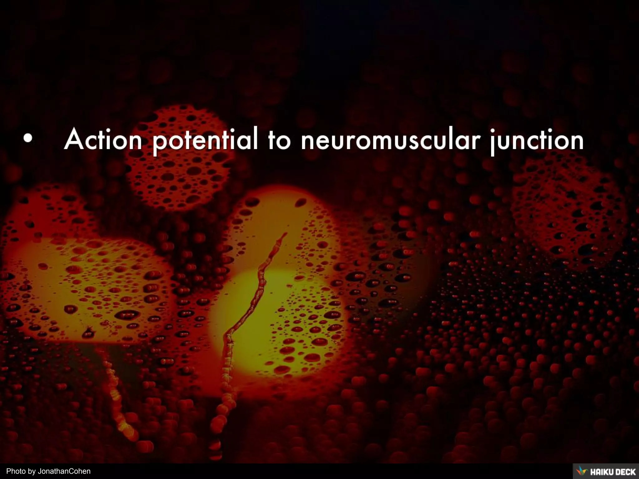 Photo by JonathanCohen