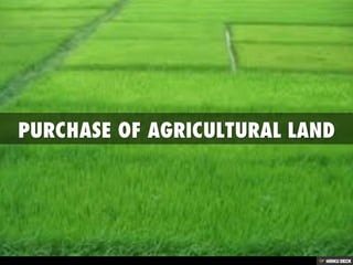 PURCHASE OF AGRICULTURAL LAND
