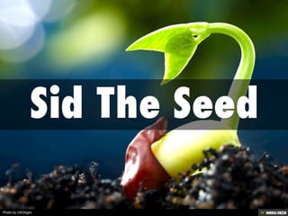 Sid The Seed | PPT