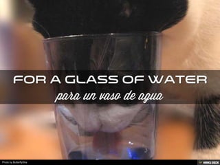 Photo by ButterflySha