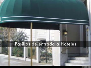 Toldos para Hostelería y Comercios