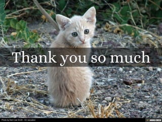 Photo by Kerri Lee Smith - On vaccation