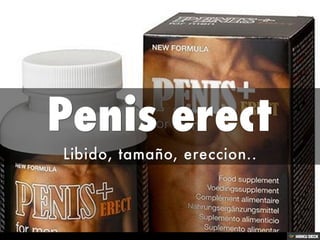 Penis erect
