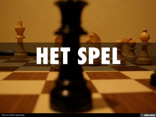 Photo by Patrick Rasenberg
 