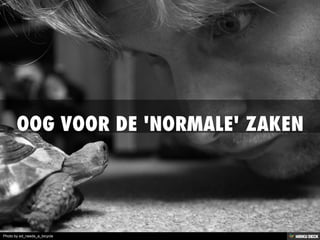 Photo by ed_needs_a_bicycle
 