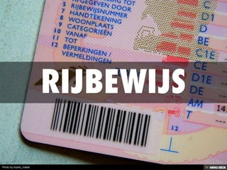 Photo by mystic_mabel
 