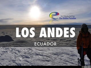 LOS ANDES  ECUADOR 