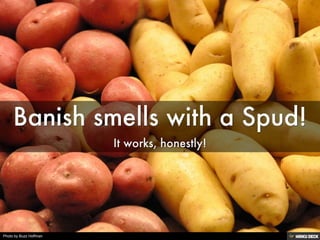 Photo by Buzz Hoffman