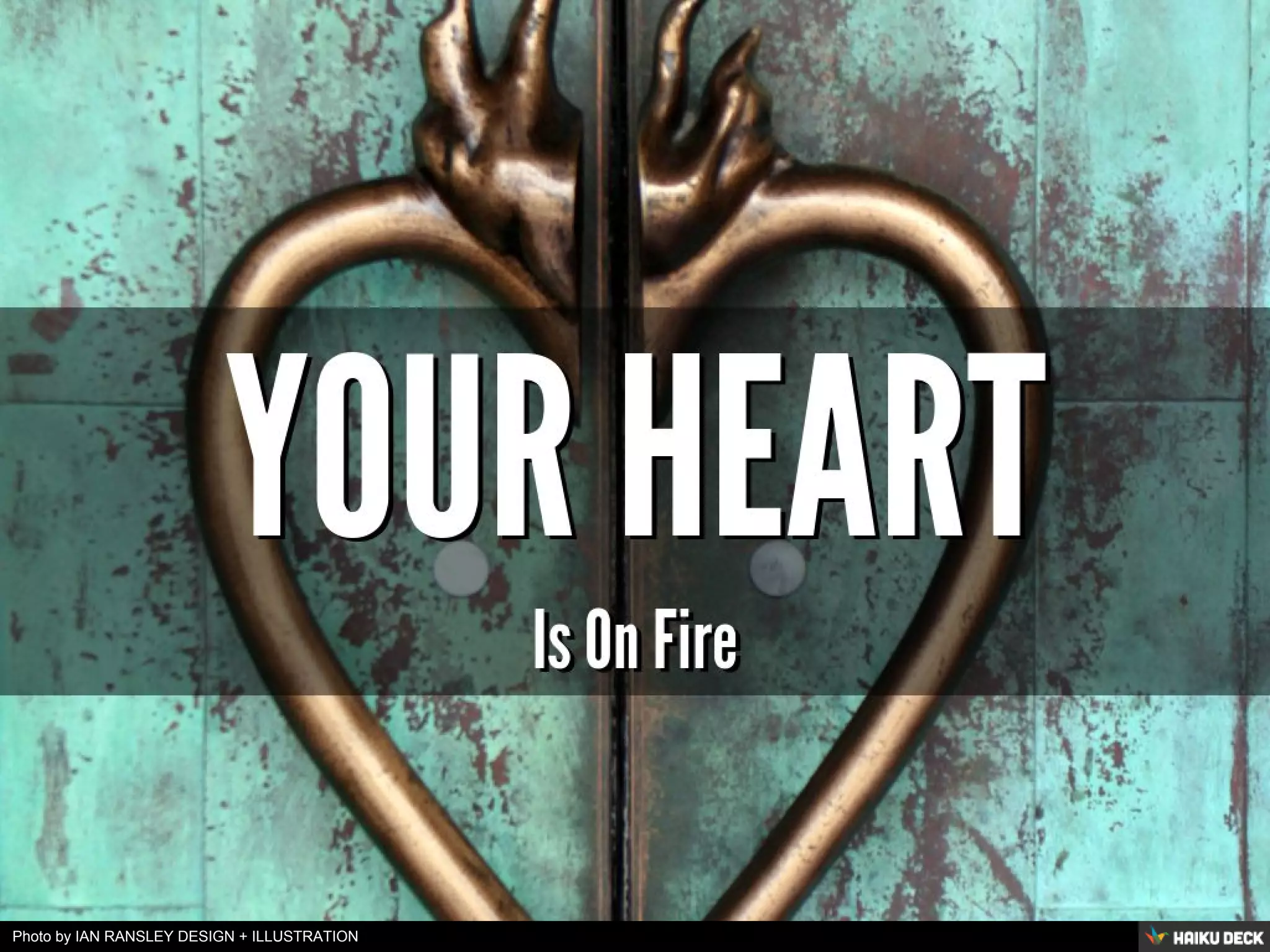 Photo by IAN RANSLEY DESIGN + ILLUSTRATION