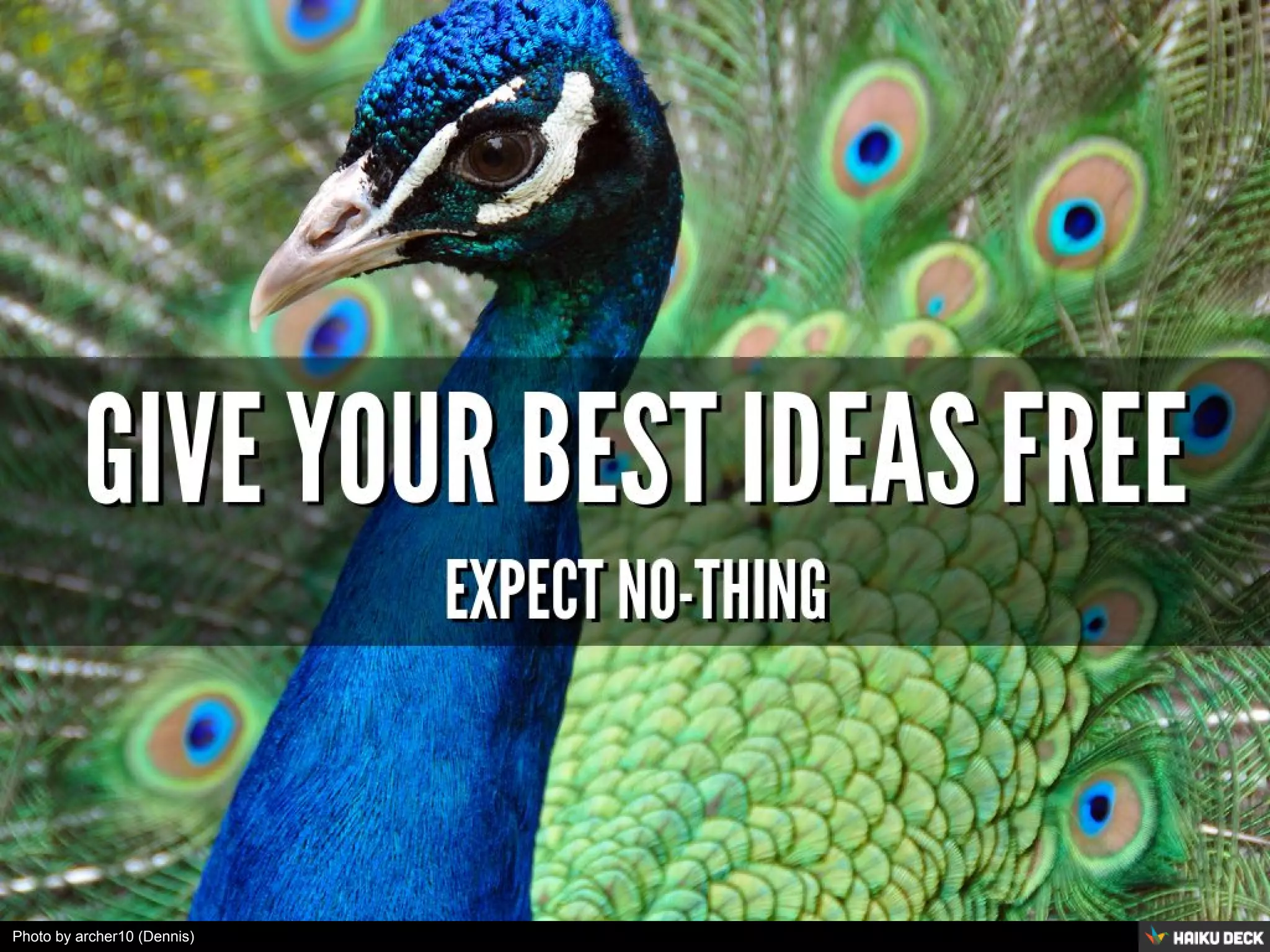 Photo by archer10 (Dennis)