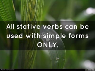 Photo by gedankenstuecke