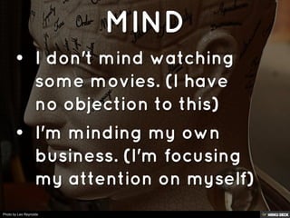 Photo by Leo Reynolds