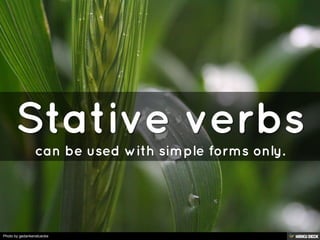 Photo by gedankenstuecke