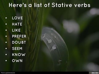 Photo by gedankenstuecke