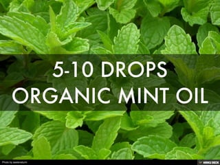 Photo by seelensturm
 