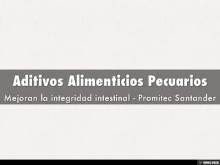 Aditivos Alimenticios Pecuarios  Mejoran la integridad intestinal - Promitec Santander 