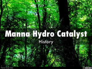 Photo by Thomas Tolkien
 