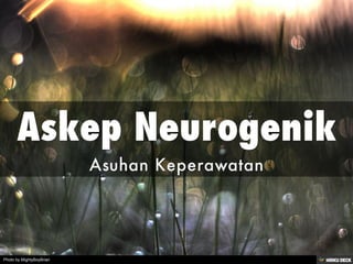 Askep Neurogenik  Asuhan Keperawatan 