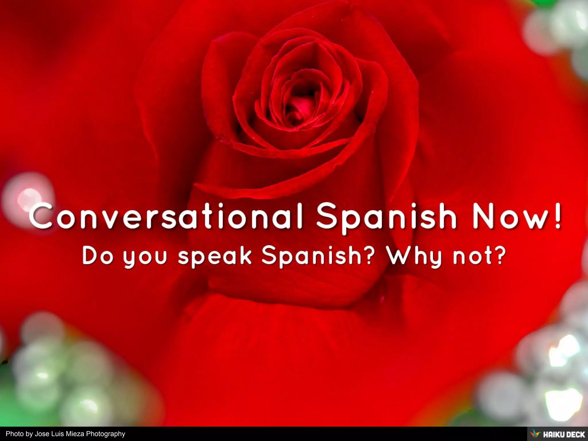 Photo by Jose Luis Mieza Photography