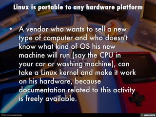 Photo by mouseshadows
 