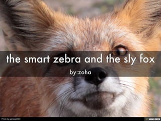 the smart zebra and the sly fox  by:zoha 